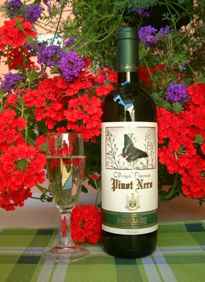 primavera_pinot.